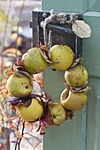 Fragrant wreath of Chaenomeles (ornamental quince) with autumn leaves