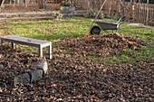 Autumn leaves on the lawn, wheelbarrow, rake, bench