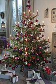 Picea pungens (Norway spruce) decorated with red, purple and silver baubles