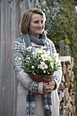 Woman with Helleborus niger (Christmas rose) in pot