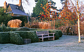 PETTIFERS, OXFORDSHIRE: THE Parterre IN Winter with CLIPPED Box, BETULA ERMANII AND A WOODEN BENCH