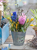 Zinc pot with Hyacinthus (hyacinths), Crocus chrysanthus (crocuses)