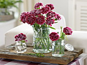 Small bouquets of Dianthus plumarius (feather carnations) in jars