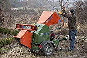 Man chopping back woody plants with a large shredding machine