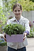 Girl with sage (Salvia) and thyme (Thymus) in purple box