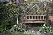 Wooden bench in front of trellis, wickerwork wall overgrown with Hedera
