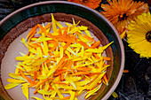 Blütenblätter von Calendula (Ringelblumen) zum trocknen und verarbeiten in Schale