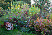 Lush perennial bed and pallet box with empty clay pots in front of it