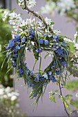 Blaues Frühlingsherz aus Gräsern, Muscari (Traubenhyazinthen)