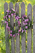 Heart of grasses and dicentra (watering heart) hung on fence