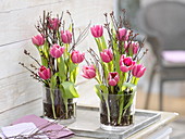 Tulipa (Tulpen) in Glasgefäßen mit Betula (Moorbirke) als Steckhilfe