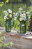 white scented bouquets in canning jars: Leucanthemum vulgare