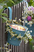 Tin pot with floating candles hung on a fence, decorated with flowers