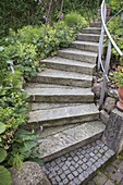 Granite stairs with handrail, alchemilla (lady's mantle), field horsetail