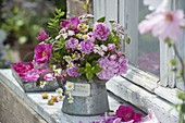 Fragrant bouquet with Rosa 'Taunusblümchen', Gallica officinialis 'Rosa muscosa'