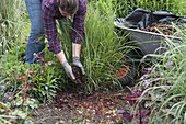 Gräser mit Rindenmulch mulchen