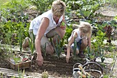 Mother and daughter sowing spinach in the vegetable patch