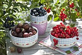 Freshly picked gooseberries, currants (Ribes) in bowls