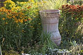 Helenium (coneflower) with grasses and Greek amphora in a border