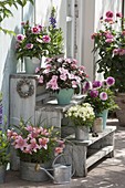 Self-made wooden staircase with Lilium 'Mount Duckling' (lilies), Impatiens