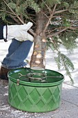 Putting Christmas tree in stand and decorate it