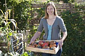 Woman with freshly harvested pumpkins (Cucurbita) in fruit tree