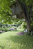 Tree house in a walnut tree, tree bench and seating area on the lawn