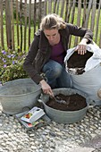 Planting rusted-through zinc tubs