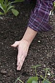 Building a raised bed from boards