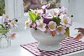 Anemone japonica (autumn anemone) as a candle wreath around a candle