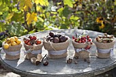Autumn fruits in clay pots with burlap disguise