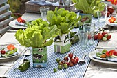 Grow lettuce in empty milk cartons