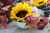 Kleine Schale mit Helianthus (Sonnenblume), Rosa (Rosen) und Blättern