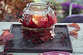 Autumnal lantern with leaves and fruits of Parthenocissus