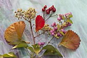 Autumn ingredients for floristry: Symphoricarpos (coral berry)