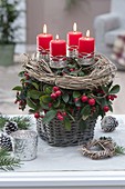 Basket planted with Gaultheria procumbens