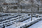 Farm garden with Buxus (box) hedges and picket fence in the snow