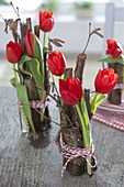 Tulipa (Tulpen) in Glasröhrchen mit Zweigen von Corylus avellana