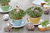Cress (Lepidium) in doll's cups with rabbits