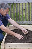 Grow potatoes in potato crate