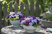 Small arrangements in cereal bowls viola cornuta, Allium