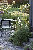 Small terrace with white bed