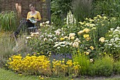 White-yellow bed with roses and perennials