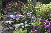 Seat in the shade garden between hydrangea (hydrangea), rose (rose)
