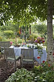 Set table in flower garden under walnut tree