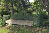 Stone bench under trees