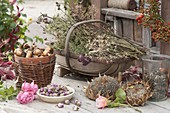 Korb mit getrockneten Sommerblumen und Kräutern für die Samen-Ernte