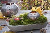 Metal lanterns in a wooden bowl filled with moss, leaves of Acer (maple)