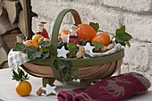 Nikolauskorb gefüllt mit Orangen und Clementinen (Citrus), Zimtsternen