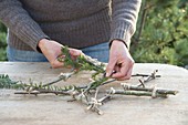 Star made of apple branches and fir green as a Christmas decoration